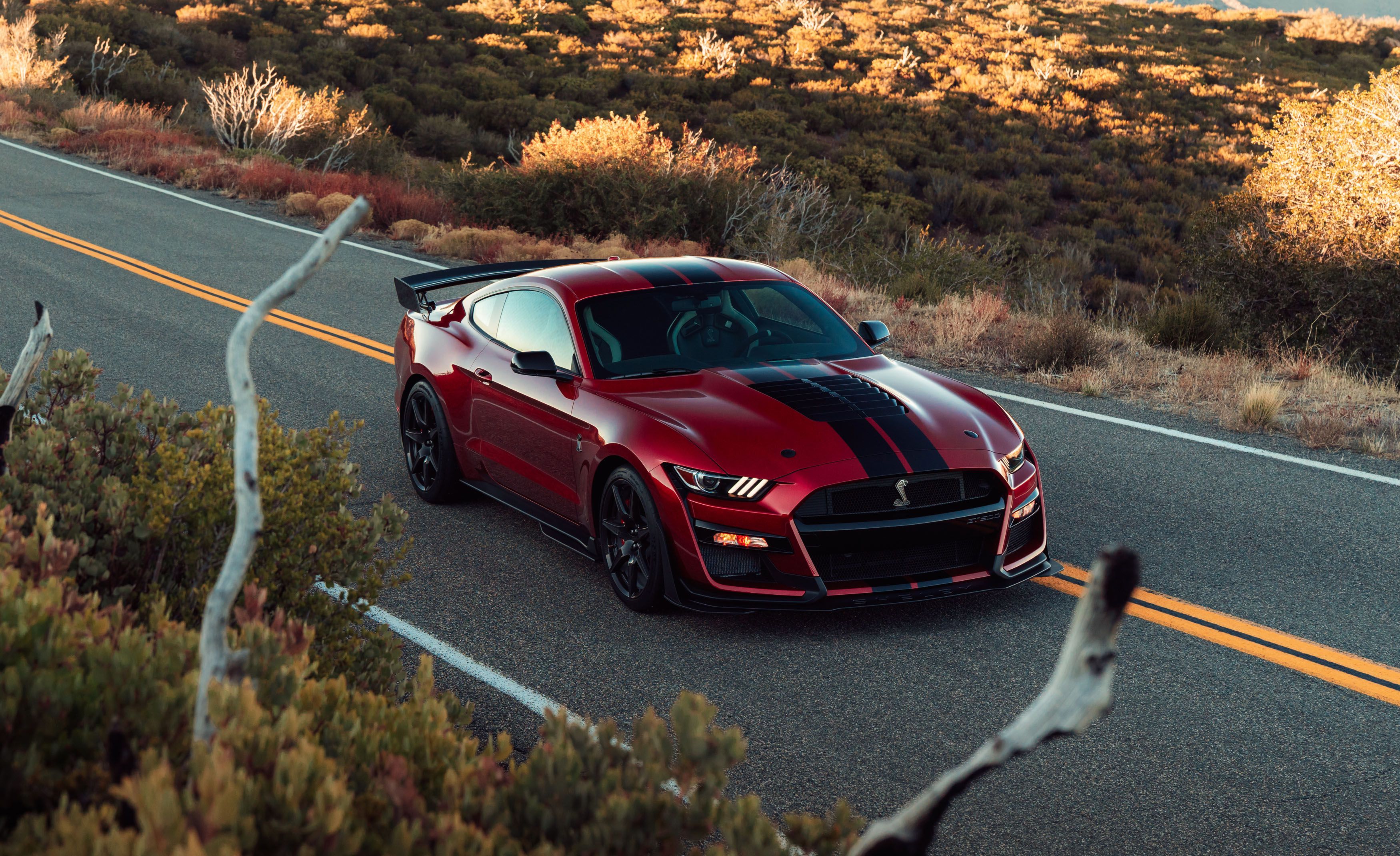 The Mustang Shelby 2020 will receive a 700 plus HP at a Red-Line of 7500 rpm.
