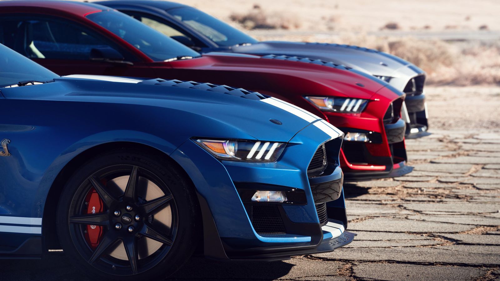 The 2020 Mustang Shelby was sold at an auction whose proceeds were donated to charity.