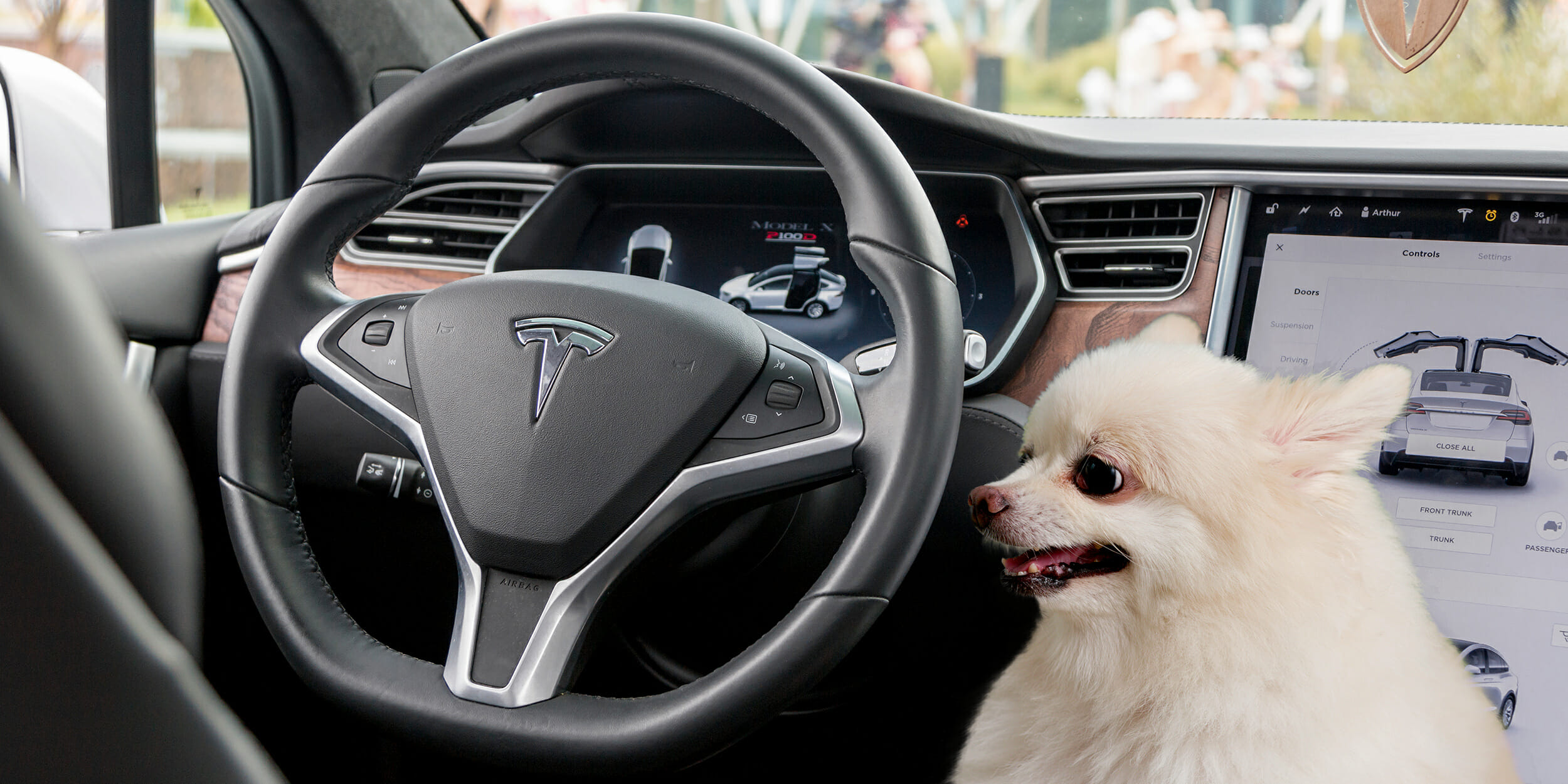 Tesla Model S Dog Mode