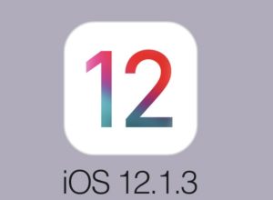 iOS 12.1.3 update no service iPhone bug