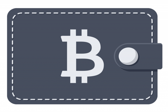 Bitcoin Wallet Payments