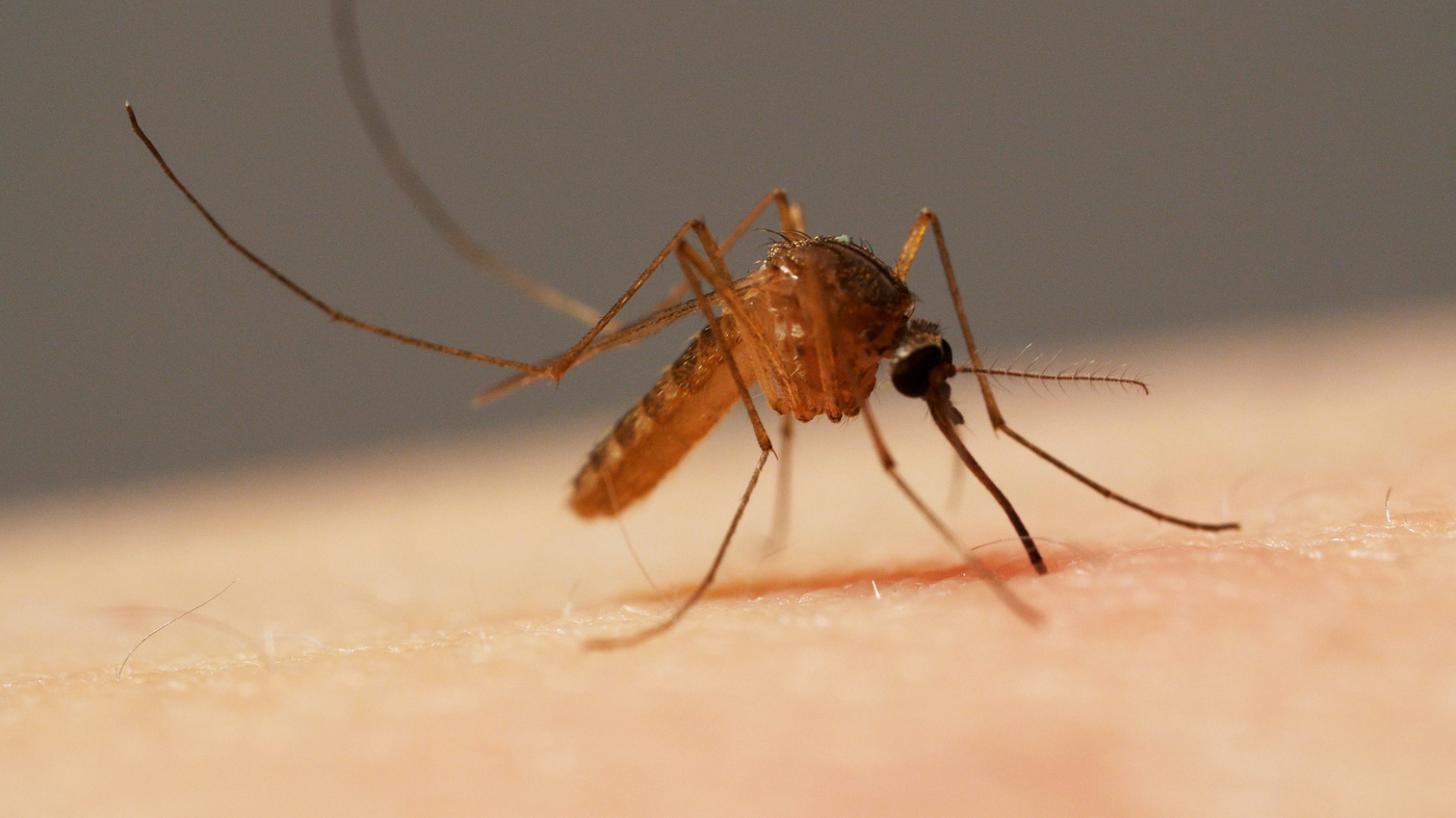 Malaria: first ever malarial vaccine launched in Africa