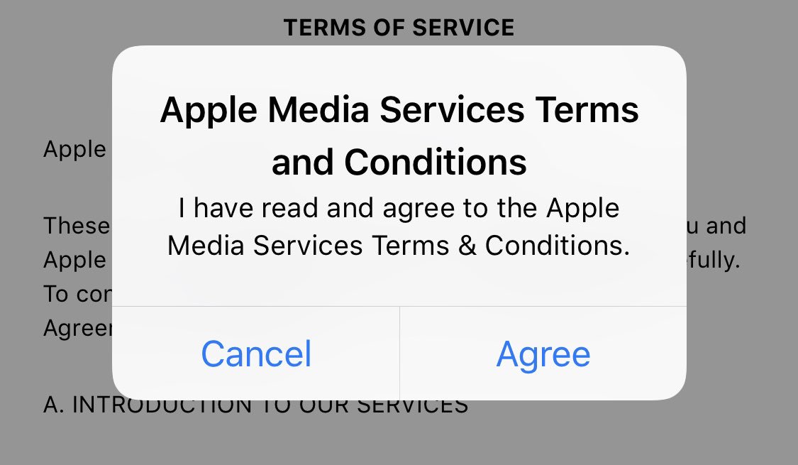 iPhone Terms and Conditions iOS Bug