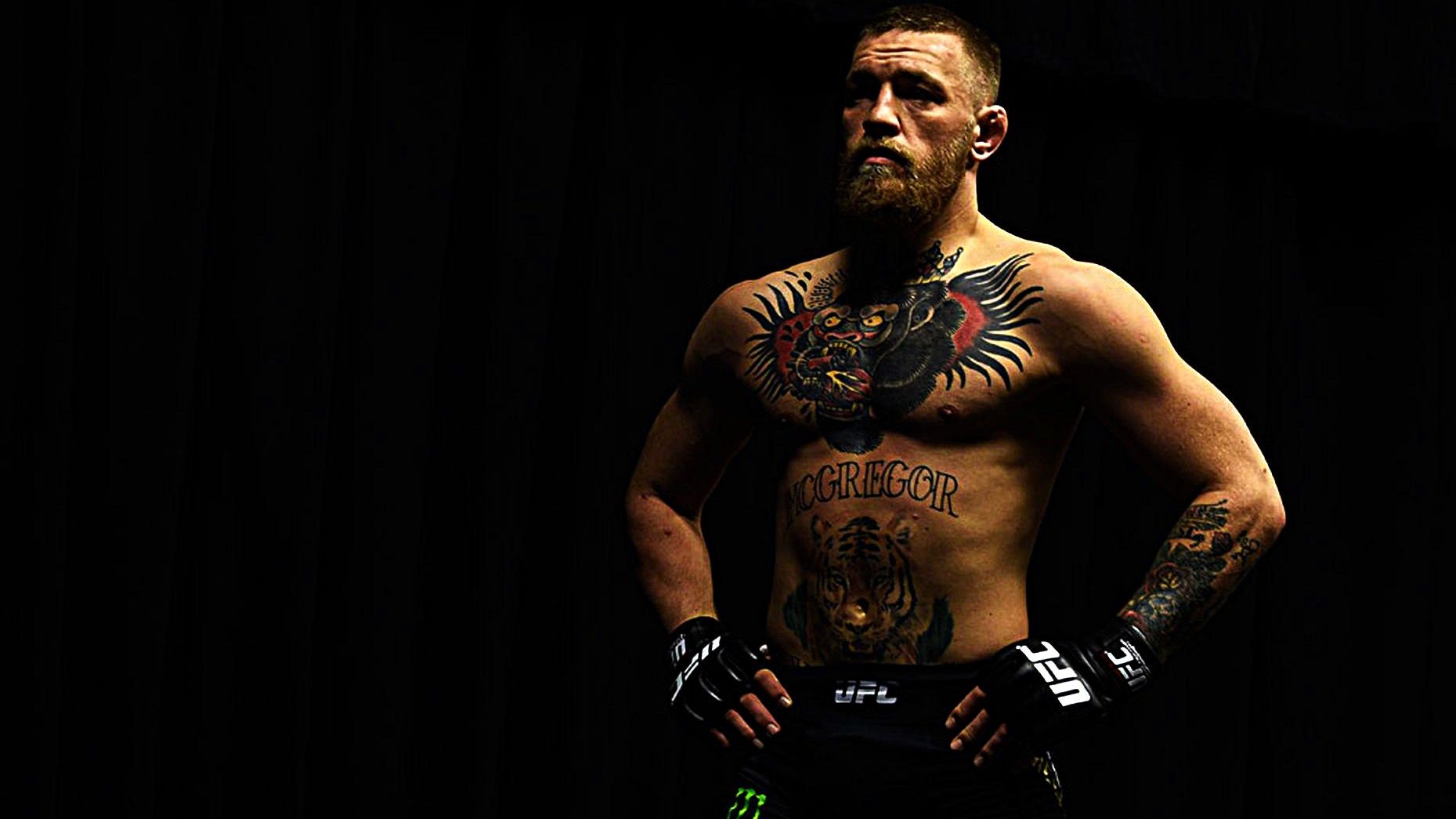 Conor McGregor Retirement