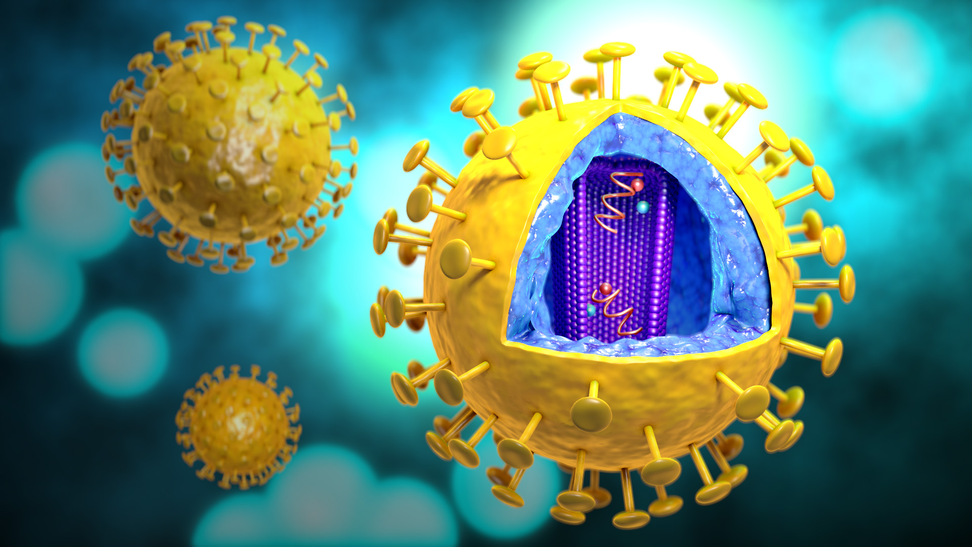 Клетка иммунодефицита. Вирус иммунодефицита человека (Human Immunodeficiency virus). Омикрон коронавирус. Модель вируса. ВИЧ фотографии вируса.