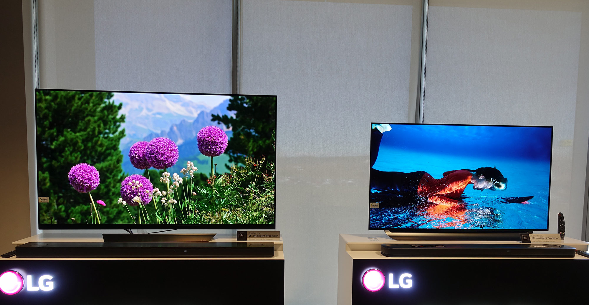 Samsung TV vs LG TV Which Smart TV should you buy? Why is there a price difference?