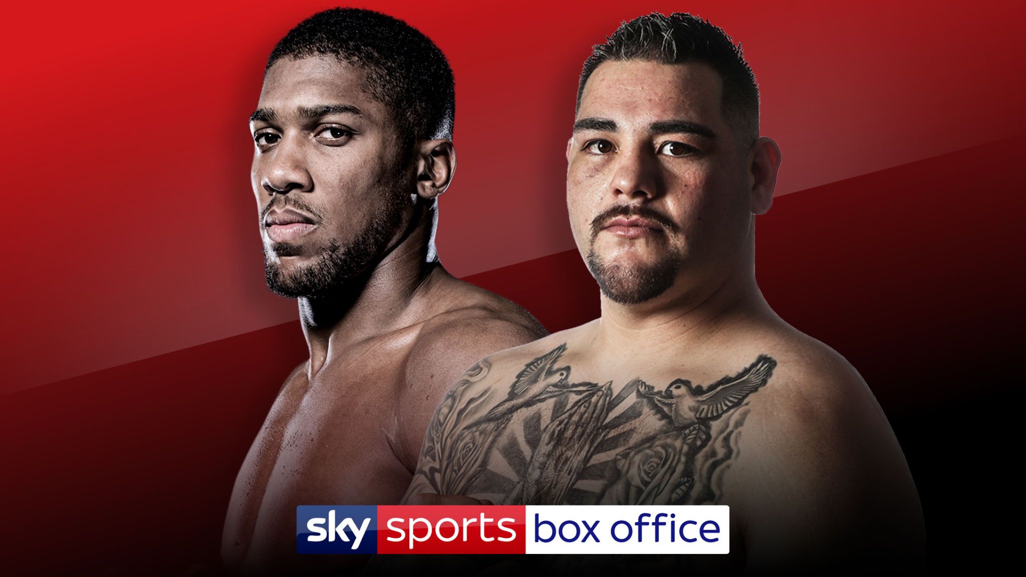 Anthony Joshua vs Andy Ruiz Jr