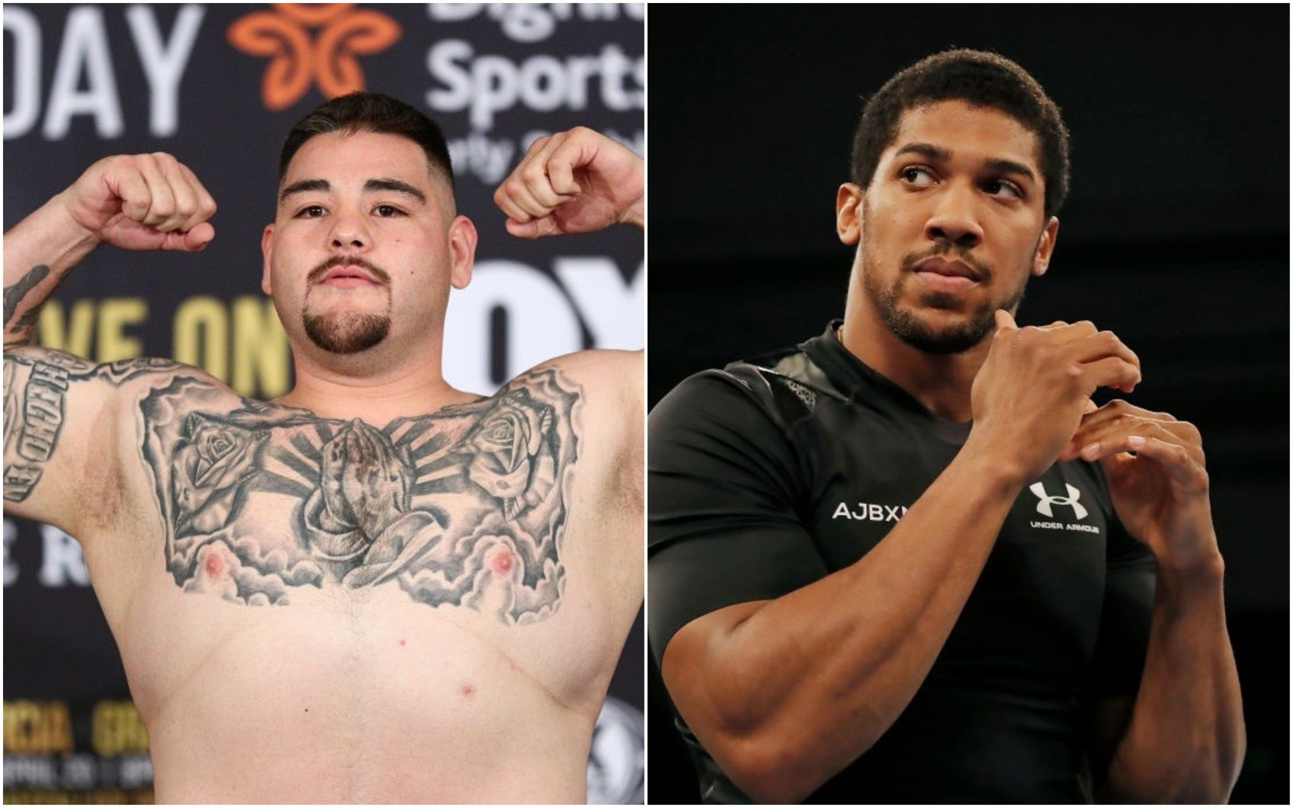 Anthony Joshua vs Andy Ruiz Jr prediction Tyson Fury