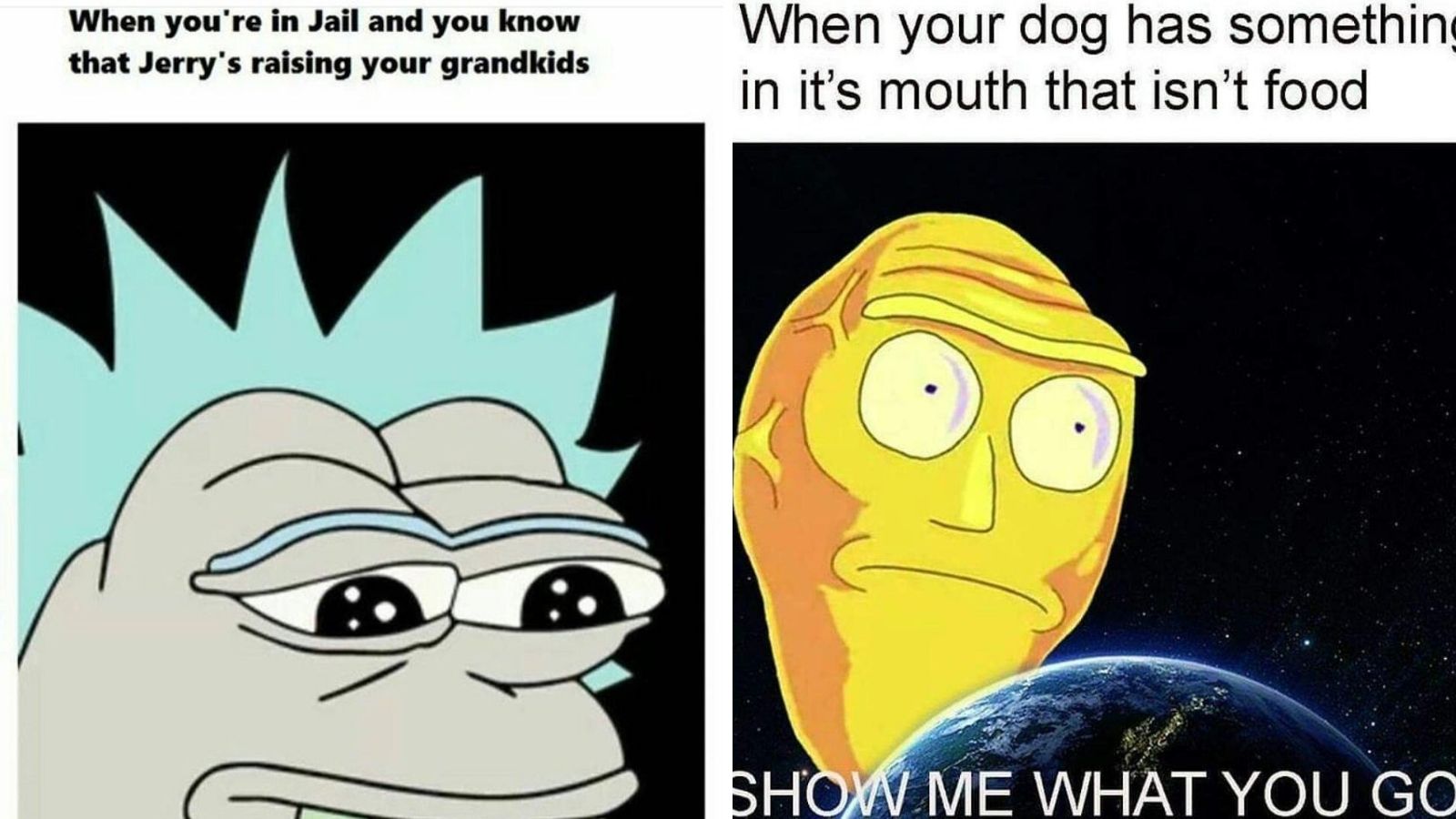 Best Rick and Morty season 4 release date memes