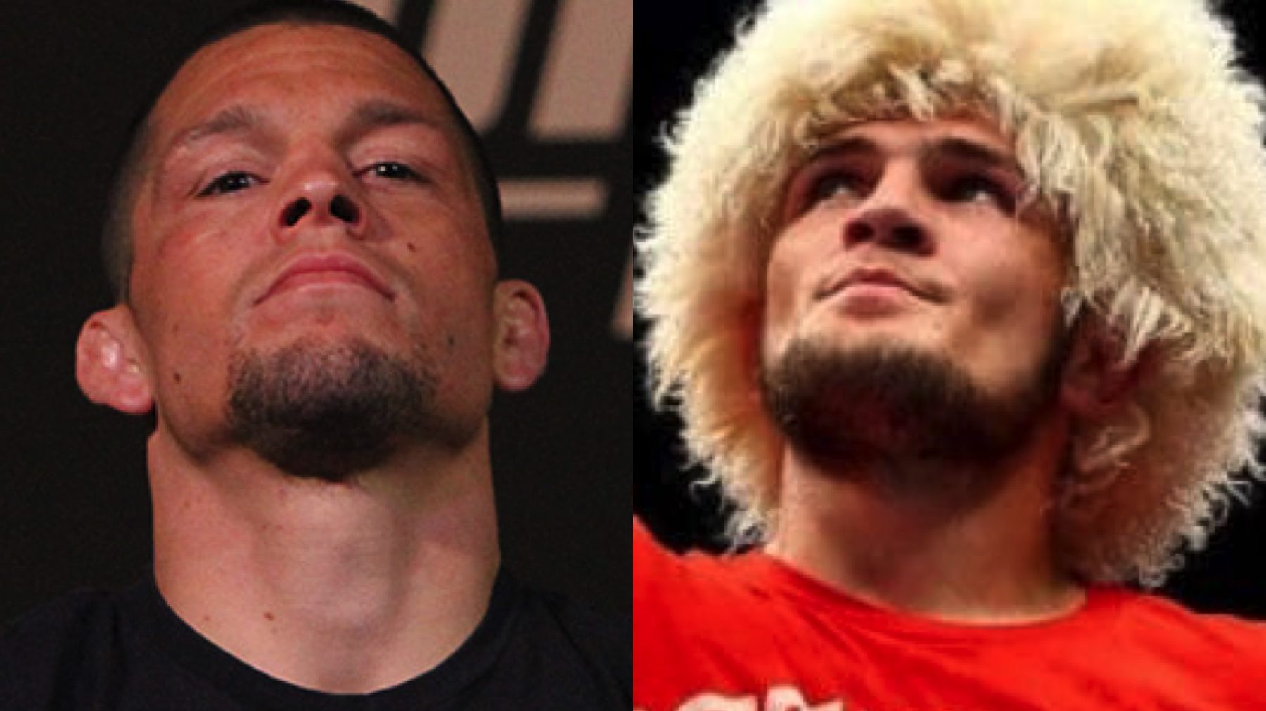 Khabib Nurmagomedov vs Nate Diaz UFC 239