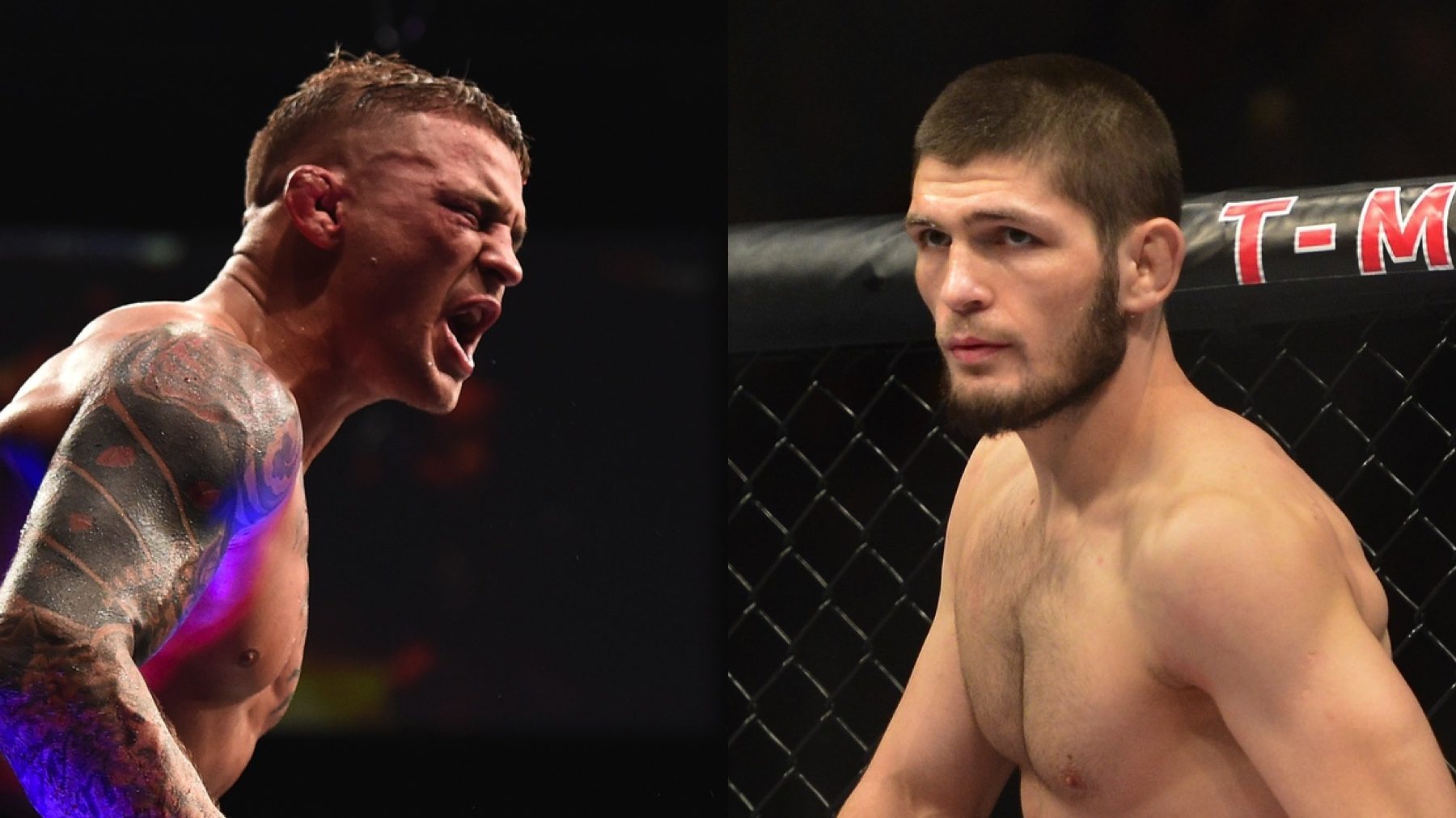 Khabib vs Poirier UFC 242