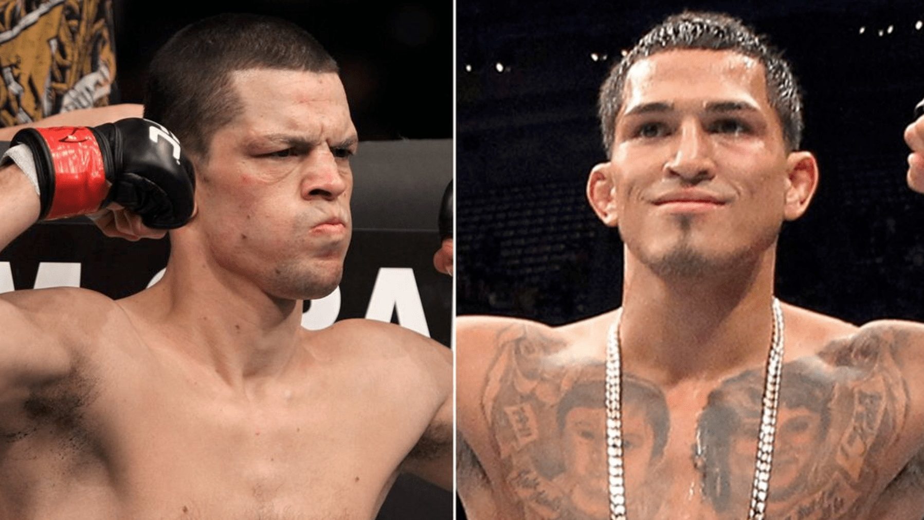 UFC 241 Nate Diaz vs Anthony Pettis