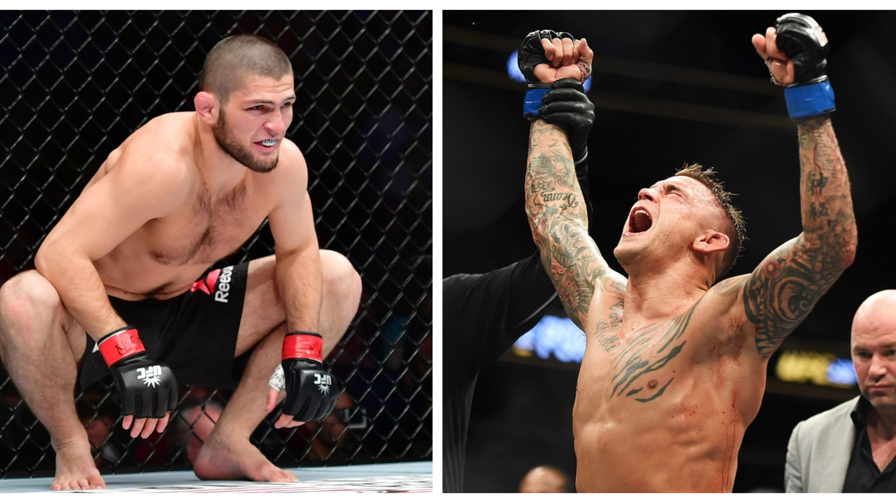 Khabib Nurmagomedov vs Dustin Poirier at UFC 242