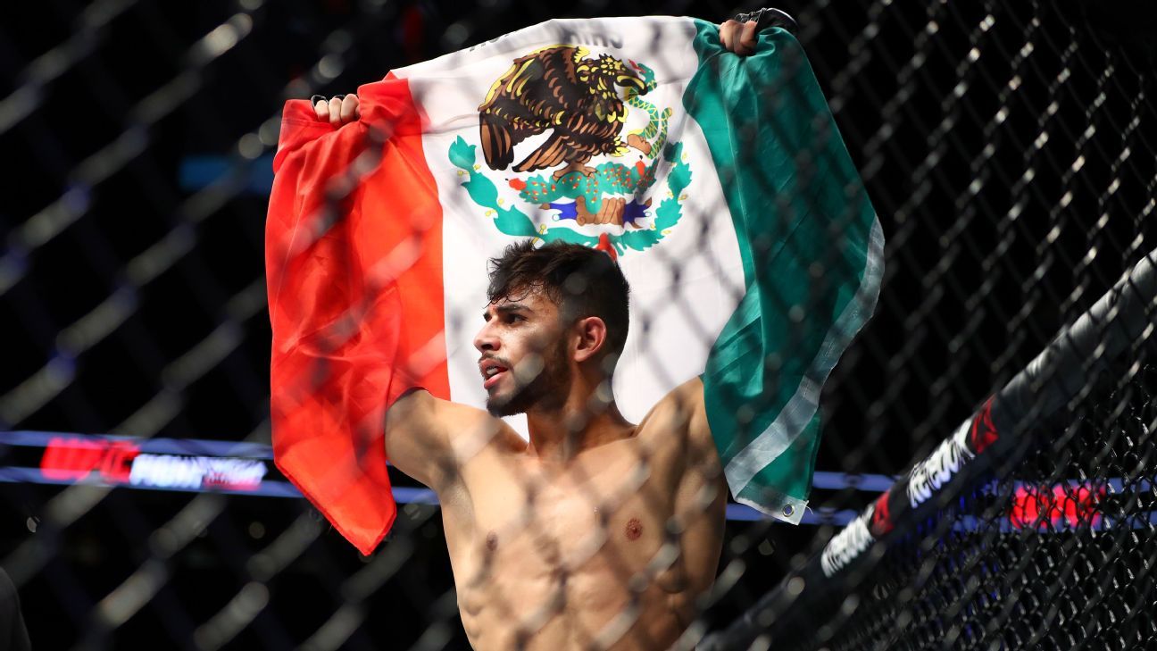 Rodriguez vs Stephens UFC Fight Night 159 UFC Mexico City