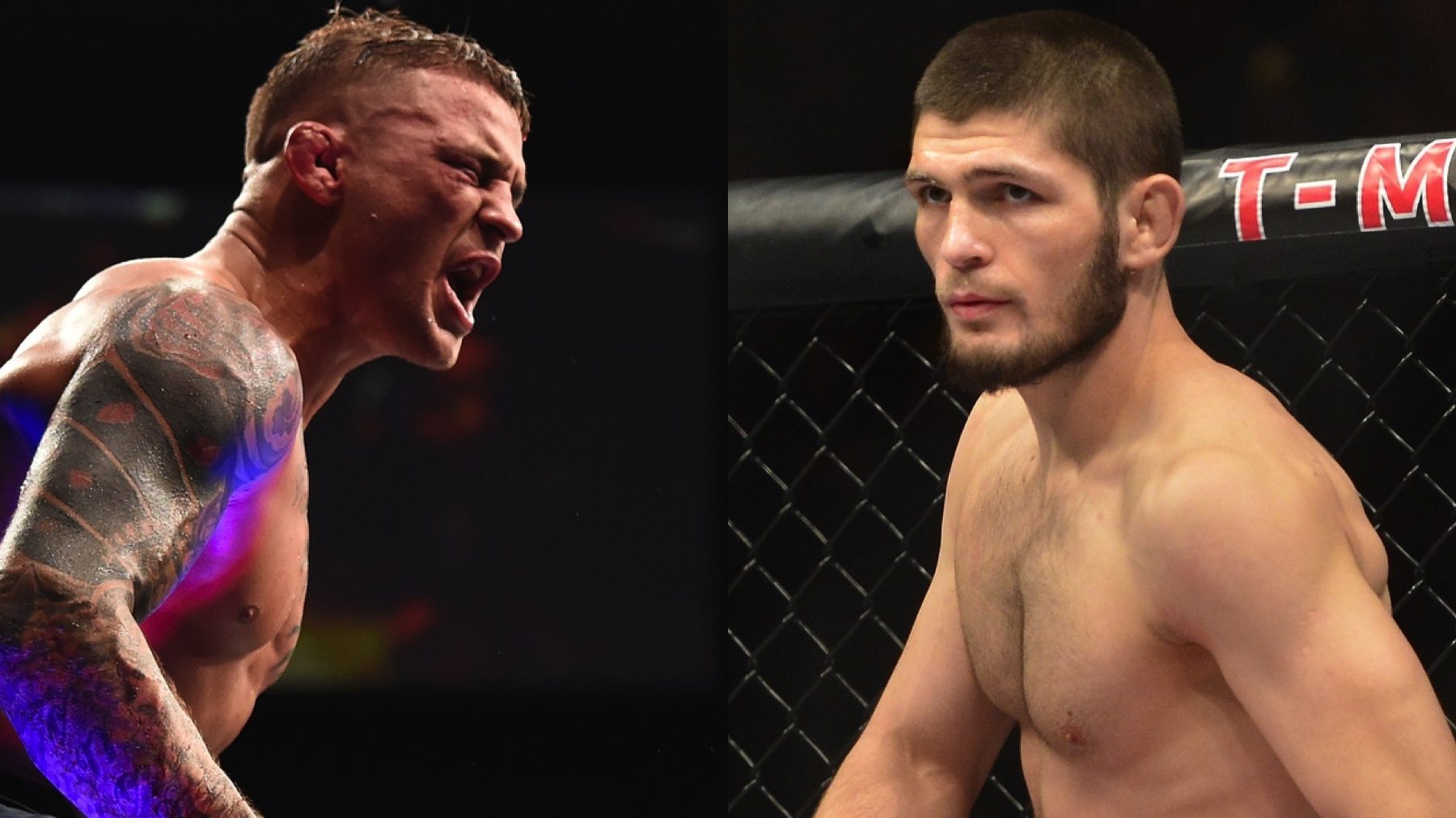 UFC 242 Khabib vs Poirier Preview Betting Odds