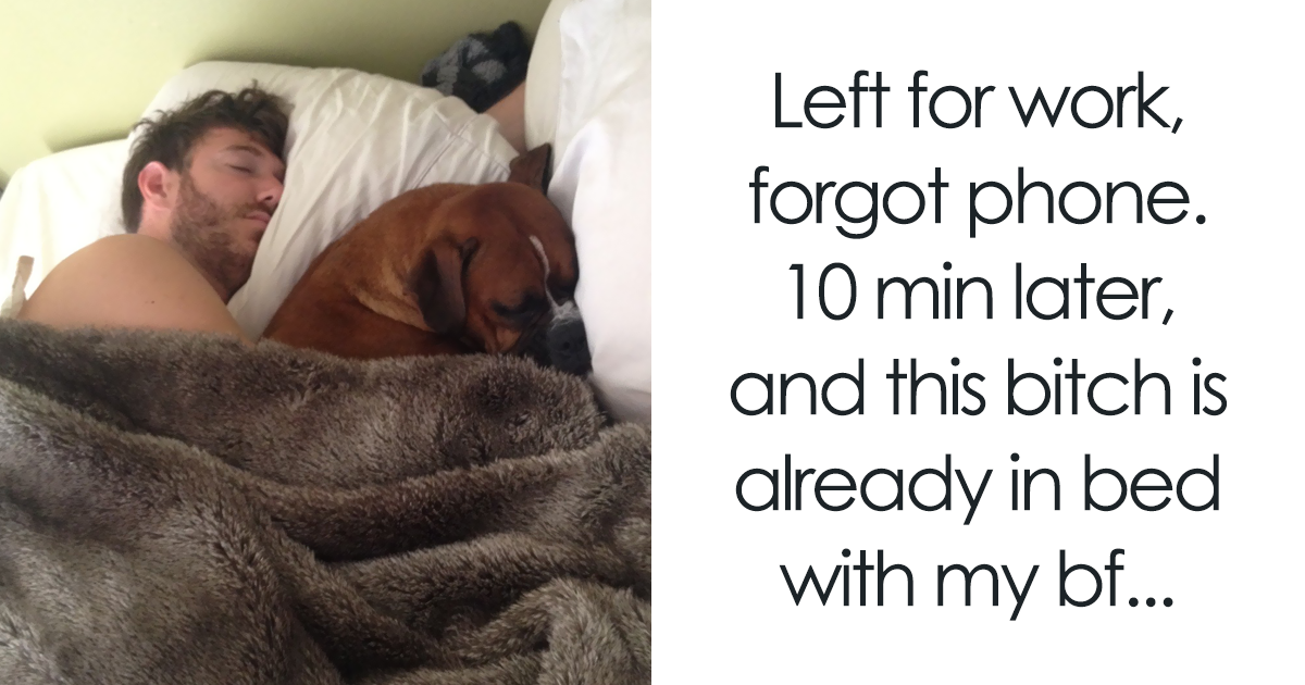 20+ Pets Who Are Not Even Sorry To Steal Their Owner's Partner