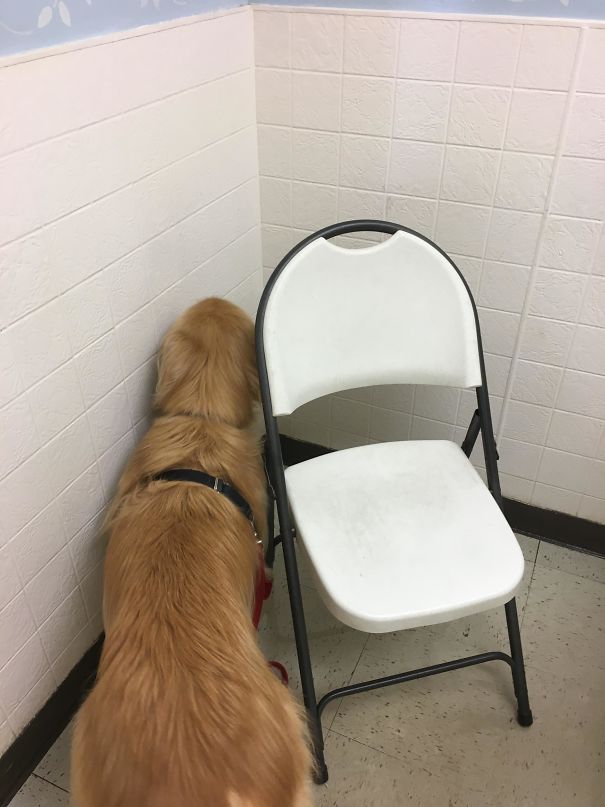 The perfect corner to hide from your doctor