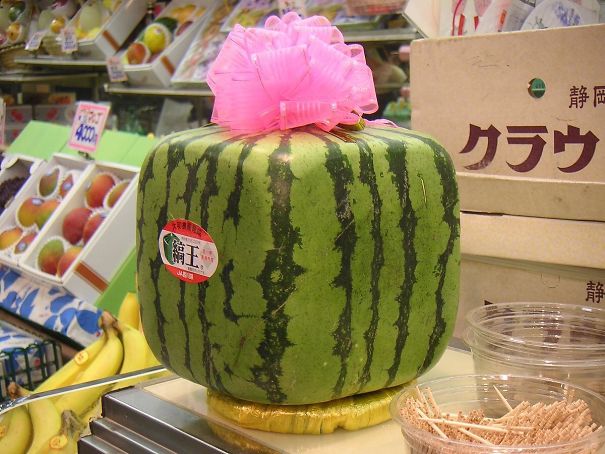 The square shape watermelon that fits into the refrigerator easily