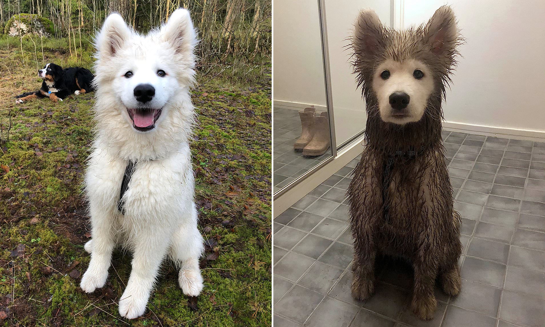 Before and after a playdate in mud