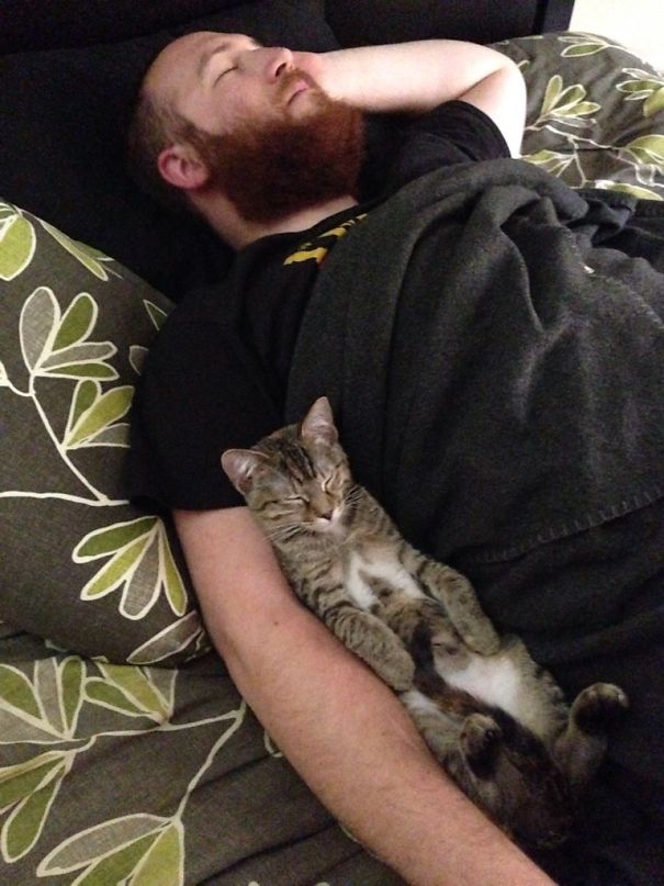 How the cat sleeps with her husband