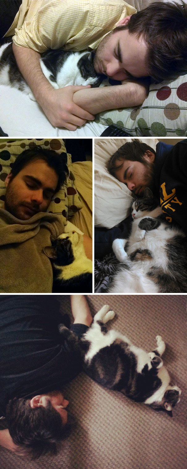 Pets with Owner's Partner: The cat always takes a nap with her husband