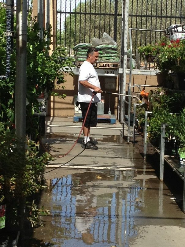 Grandpa started watering Wilting plants at Walmart