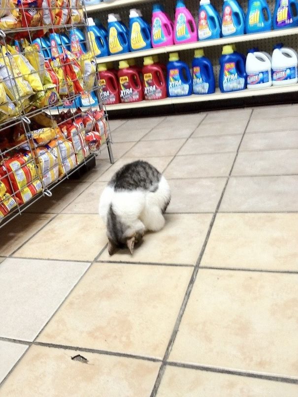 Why is this dude resting on the floor in a Bodega in NYC?