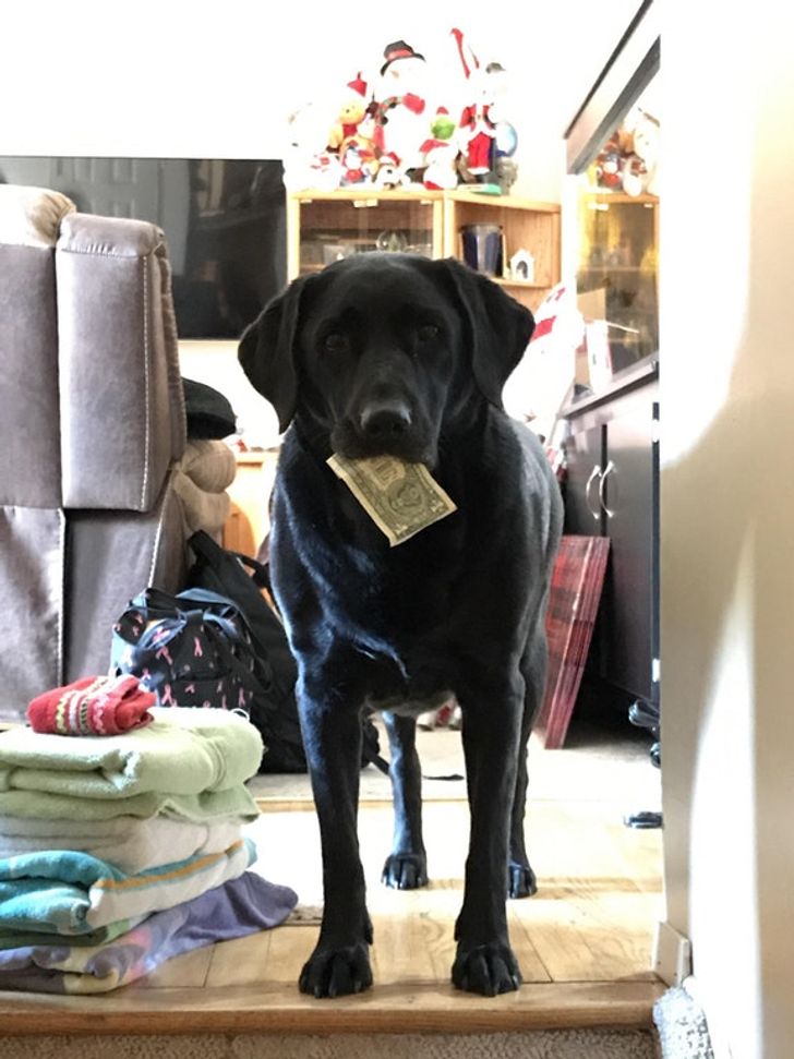 Oh, let's play tag! I know you love these papers, so you chase me
