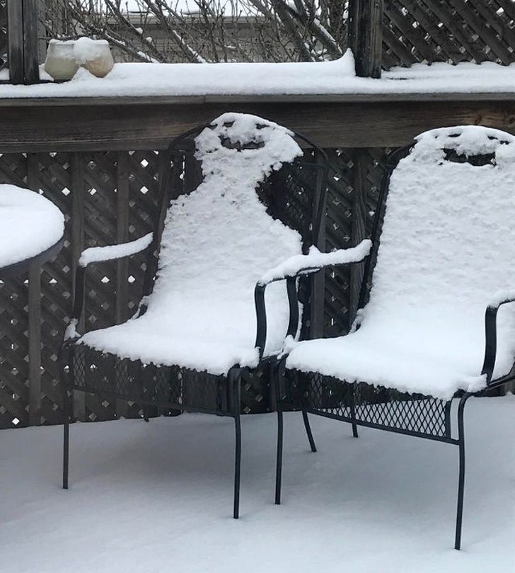 Woke up to these two sharing a laugh on my patio