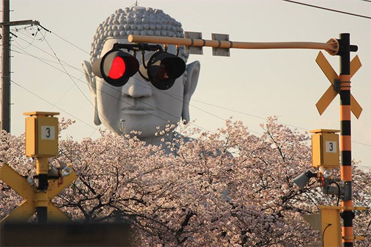 The cool Buddha