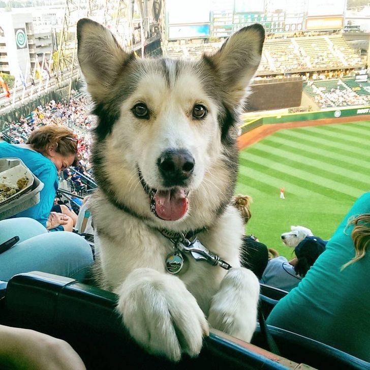 This cutie is more interested in watching me than the game