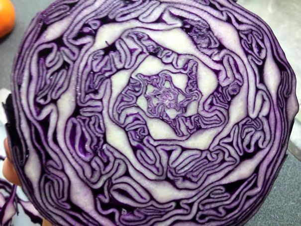 Chopped A Red Cabbage And Found This Pattern