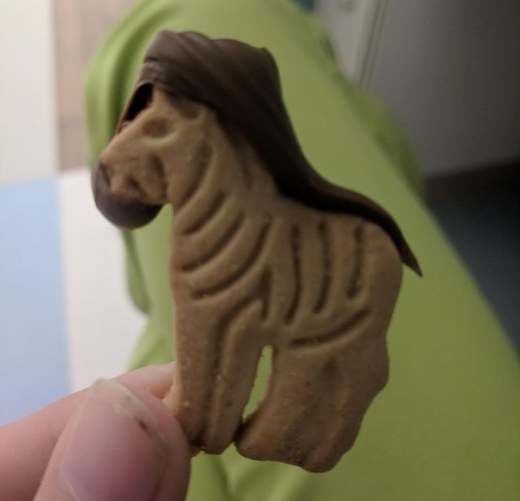 The way the Nutella gave this zebra a beautiful hairdo
