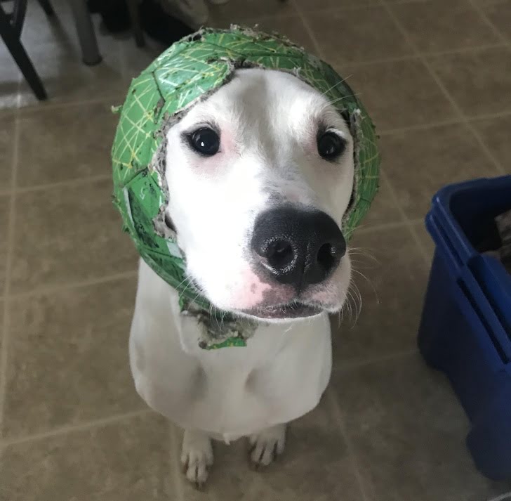 He made his own scarf. 