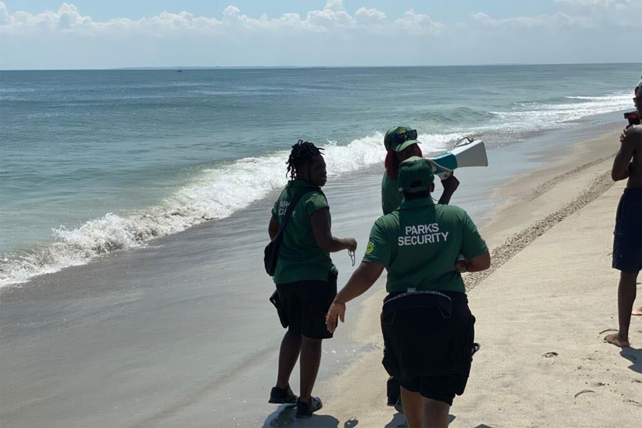 People freaked out as the shark appeared on the shore of Rockaway Beach