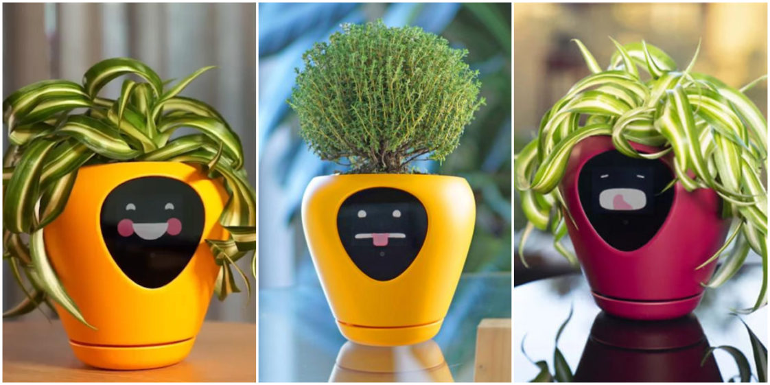 Planter Turns Your Plant Into A Cute Tamagotchi Pet So You Don't