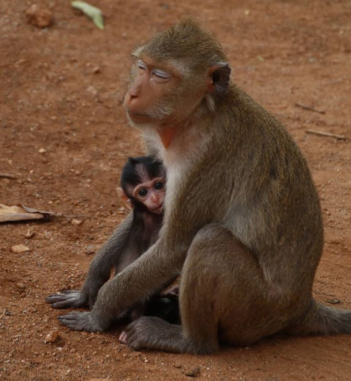 This mother woke up at 4 in the morning to feed her baby!