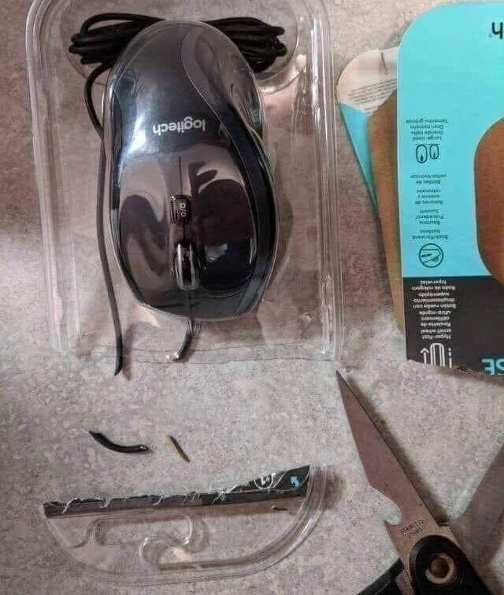 Ever bought such a mouse for yourself?