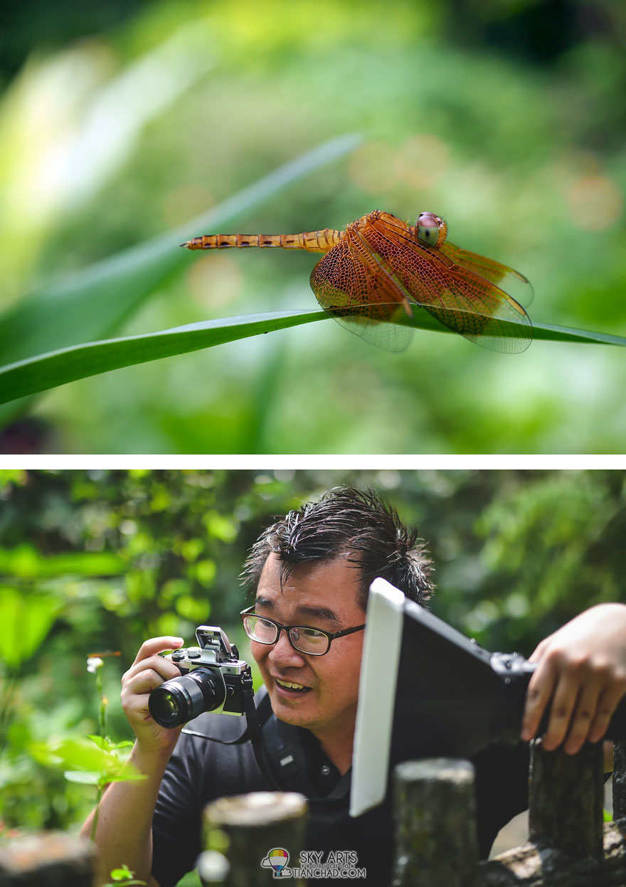 Macro Photography