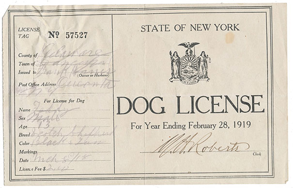 Found a Dog License from 1919 in "The Oregon Trail"