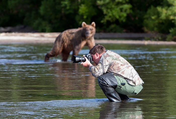 That hungry bear will get fresh flesh