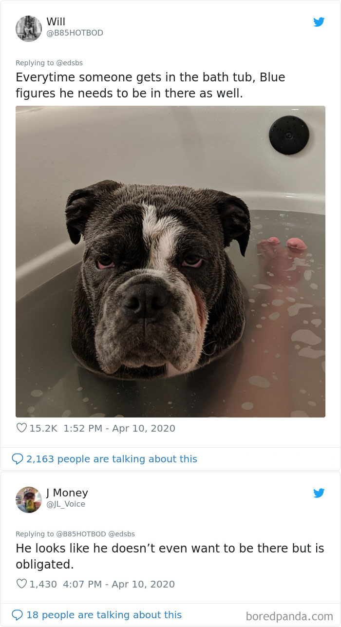 Have a look at this black pup taking a bath in the tub