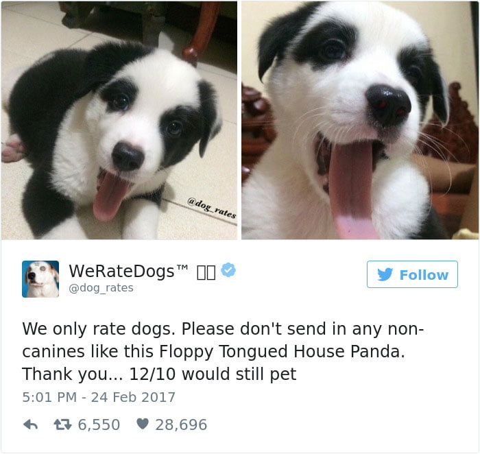 Floppy Tounged House Panda