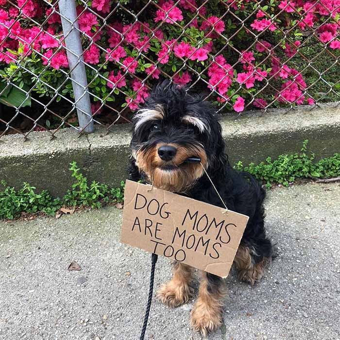 Aww! The love for her mother is priceless.