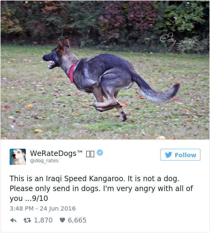 Iraqi Speed Kangaroo