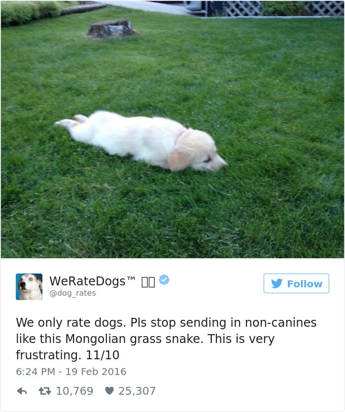 Mongolian Grass Snake