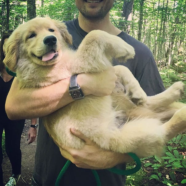 This big baby wants his hooman to carry him.