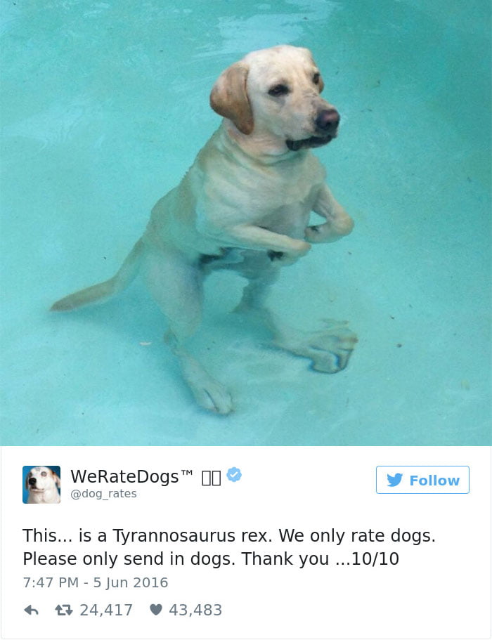 Tyrannosaurus: Best of Under Water Dogs