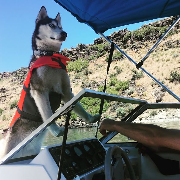Lola nailed her first boat ride.