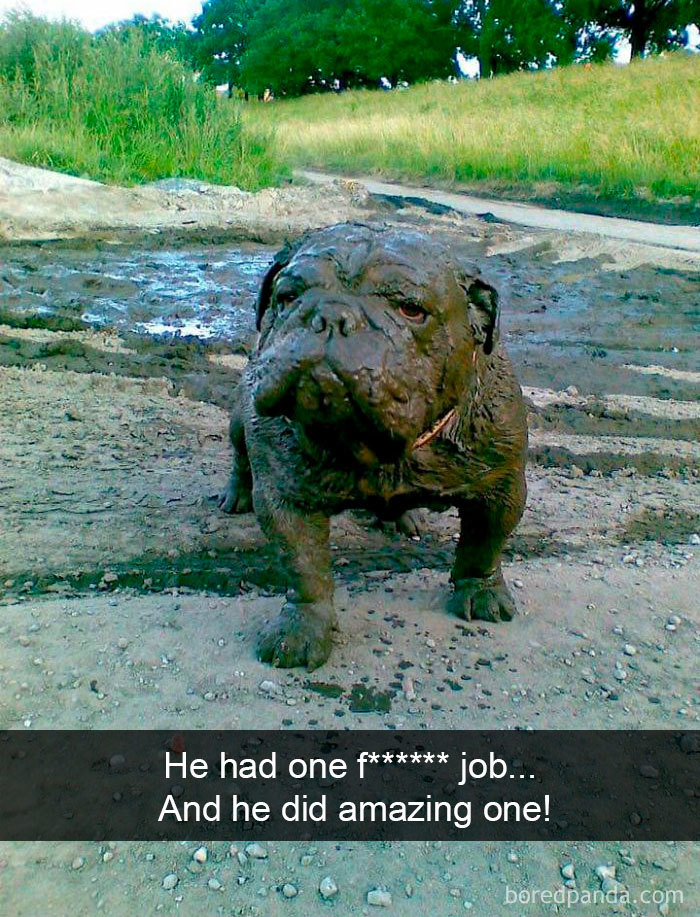 The muddy dog. One of the best dog snapchats.